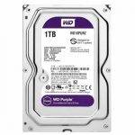 DISCO DURO WESTERN DIGITAL 1TB PURPURA PARA VIDEO VIGILANCIA - WD11PURZ